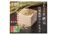 [令和５年産]埼玉県比企郡吉見町産 特別栽培米コシヒカリ  10㎏