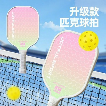 臺灣-出貨🔥匹克球拍兒童成人匹克球運動專業級pickleball球拍板學生版全套