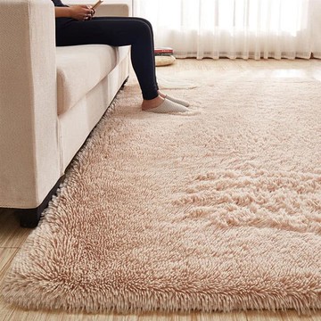 【嵐楓居家】北歐色彩超細雪柔絲素色地墊_香檳色 _廠商直送