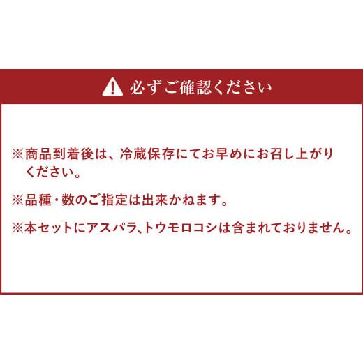 ふるさと納税 北海道 北広島市 季節の野菜 詰め合わせ 15種類〜18種類程度 〜有機野菜セットB〜 北海道北広島市