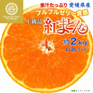 [予約 12月31日必着] 紅まどんな 約2kg L 2L 愛媛県 化粧箱 冬ギフト お歳暮 御歳暮 大晦日必着