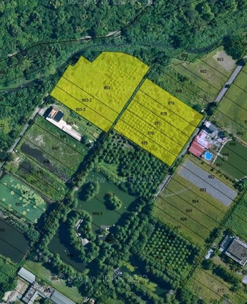 獨家專任開價0.7萬出價好談千坪農地水池小農莊F｜花蓮縣壽豐鄉壽農