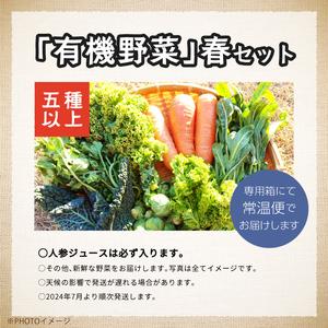 ふるさと納税 ＜2024年5月より順次発送＞季節の有機野菜「春セット」 福島県二本松市