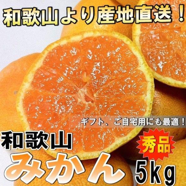 和歌山県産 みかん ミカン 秀品  ５ｋｇ（極早生みかん〜普通みかん）(ギフト、ご自宅用）