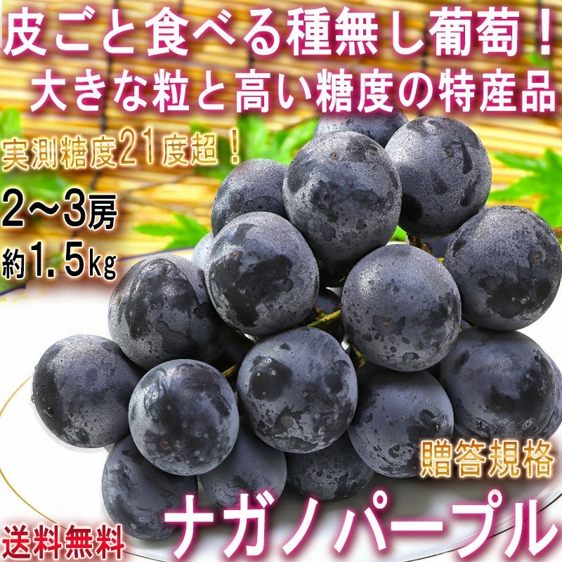 ナガノパープル 種無し葡萄 約1 5kg 2 3房 長野県産 贈答規格 大房限定 Ja共撰品 特産品の高級フルーツ 皮ごと食べる大粒の黒ぶどう 通販 Lineポイント最大5 0 Get Lineショッピング