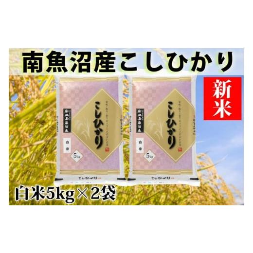 ふるさと納税 新潟県 南魚沼市 南魚沼産コシヒカリ「YUKI」(白米10kg)×全3回