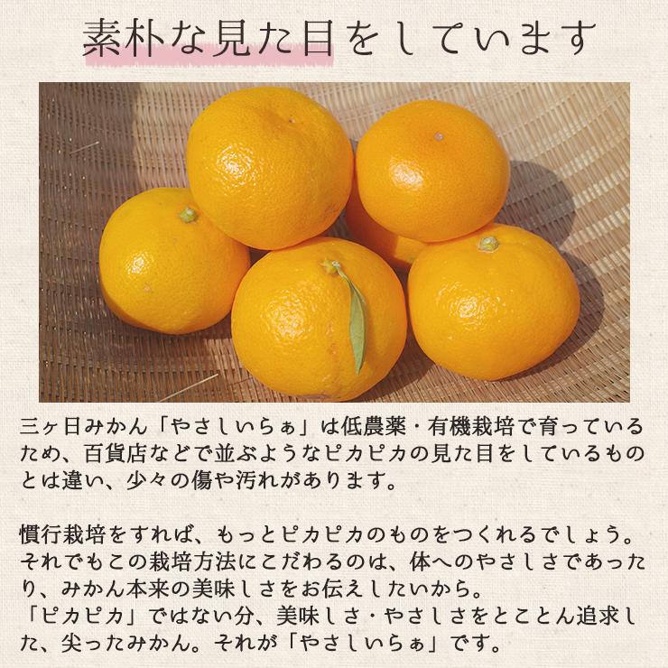 秀品 低農薬 有機栽培 三ヶ日 早生 みかん 5kg 送料無料 やさしいらぁ 3S 〜 3L サイズ不揃い 特別栽培 有機肥料 贈答用 ギフト 贈答 三ヶ日みかん 産地直送