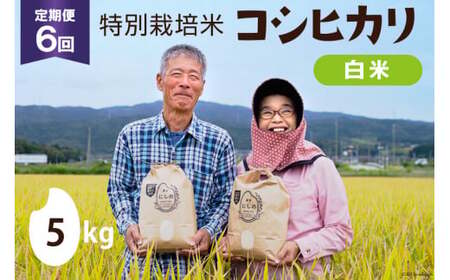 定期便 特別栽培米 コシヒカリ 白米 5kg×1×6回 総計30kg [農家にしの 石川県 宝達志水町 38600638]米 お米 ご飯 ごはん