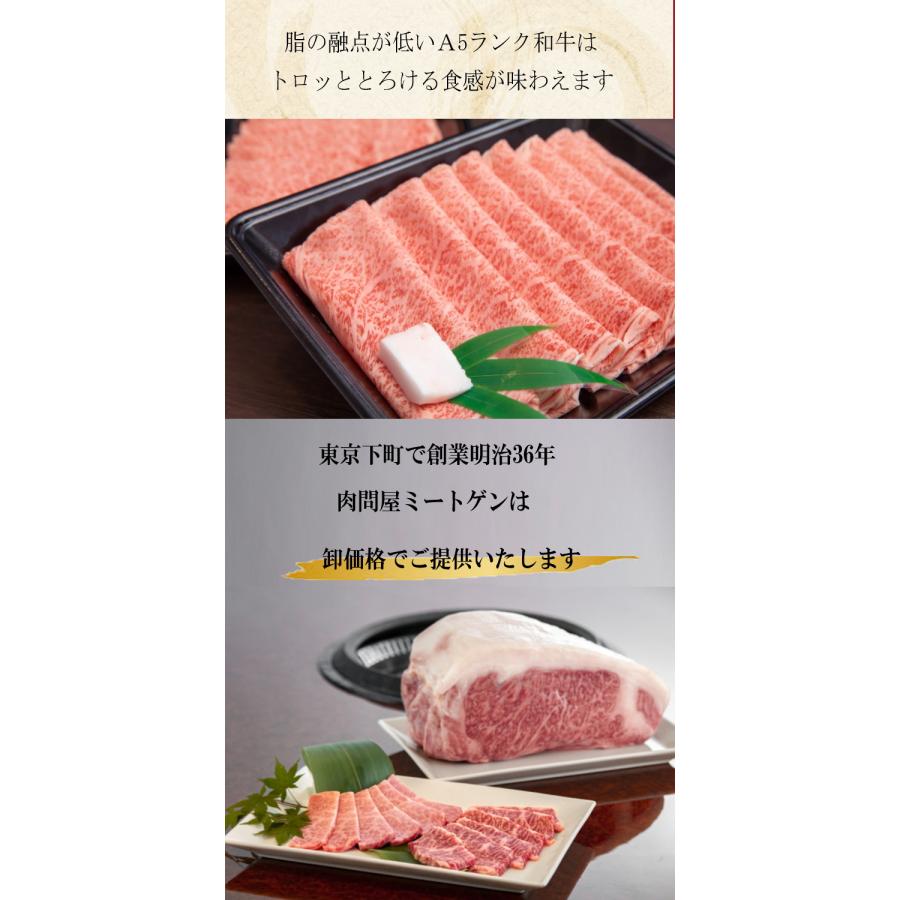 A5等級 宮崎牛サーロインスライス　500ｇ 黒毛和牛 A5クラス 薄切り  上等なすき焼きやしゃぶしゃぶに