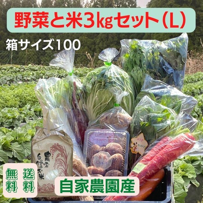 有機野菜＋米3kgセット（L） 送料無料 有機栽培 無農薬