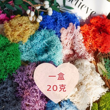 現貨🔺20克 苔癬 乾燥花 永生苔蘚 永生花DIY材料 造景 微景觀 材料包