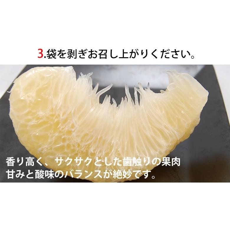 晩白柚 みかん ばんぺいゆ 訳あり 送料無料 約3kg〜4kg 2玉入 M〜2Lサイズ 世界最大級の柑橘 熊本県八代産 蜜柑 ミカン