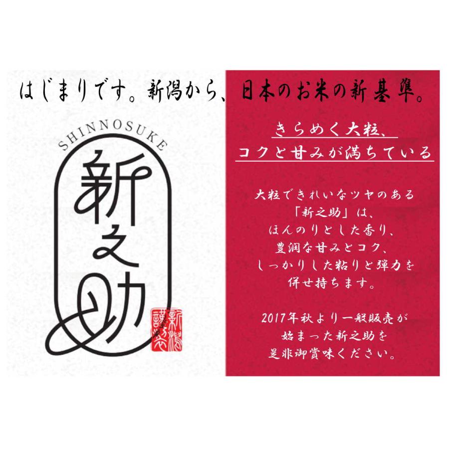 新米 令和５年産 米 お米 新潟県産 新之助 5kg 精米 送料無料