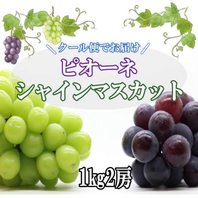 ふるさと納税 笛吹市 クール便でお届け　ピオーネシャインマスカット　食べ比べセット　1kg(2房)