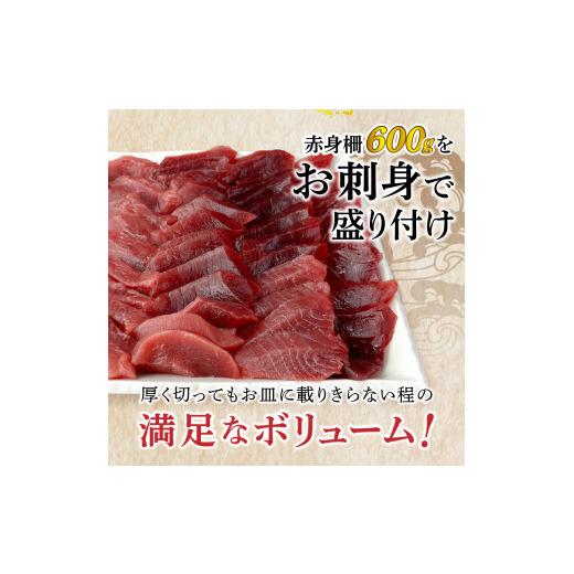 ふるさと納税 静岡県 焼津市 a10-858　訳あり 天然 南鮪 赤身 約600g