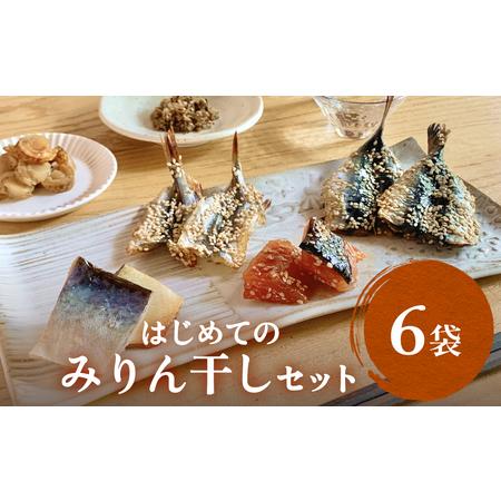 ふるさと納税 はじめてのみりん干しセット 中村海産 富山県 氷見市 魚介 干物 味醂干し 丸干し 魚介 おつまみ おかず 富山県氷見市