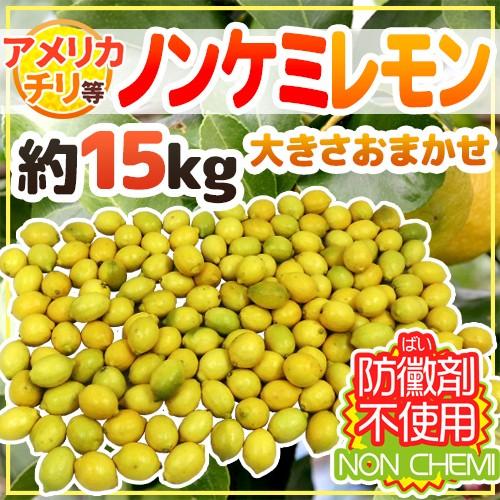 チリ・アメリカ産など ”ノンケミレモン” 大きさおまかせ 約15kg 安心の防ばい剤不使用！ノンケミカル 防黴剤（防かび剤）不使用