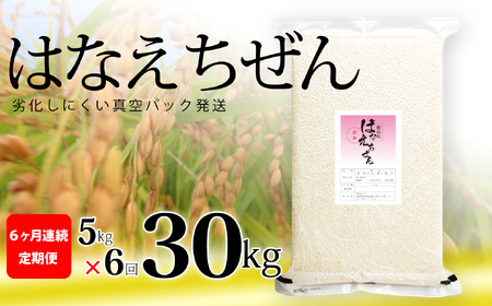 はなえちぜん 白米 5kg×6回 6ヶ月連続 定期便 30kg 真空パック ハナエチゼン 米 簡易梱包 エコ梱包