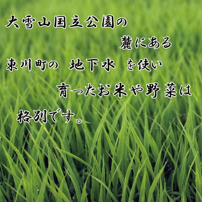 令和5年度　新米　ゆめぴりか 5kg　東川米  北海道米　安心　安全　低農薬　有機肥料栽培　白米5ｋｇ