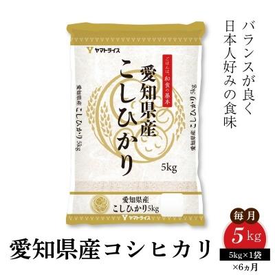 ふるさと納税 碧南市 愛知県産コシヒカリ 5Kg　※定期便6回　H074-552