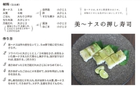 野菜 夏野菜 なすび 茄子 美～ナス 10本 朝どれ 産地直送 徳島県 阿波市