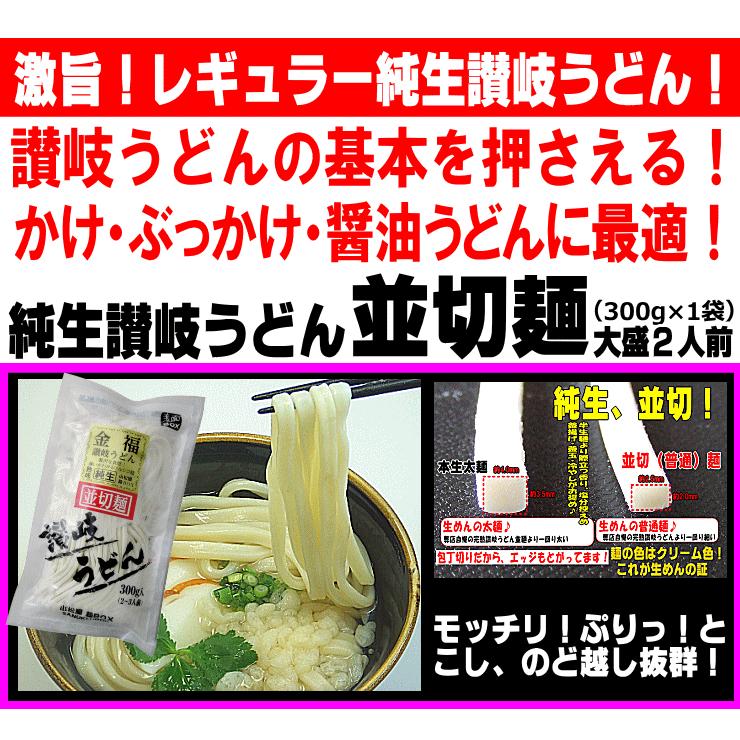 送料無料 超！バラエティー讃岐うどん（10人前） お歳暮 内祝い 贈り物 お返し お見舞い 新築祝い ギフト等におすすめ！