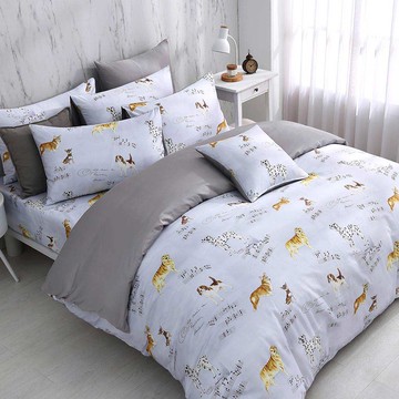 雙人薄被套加大床包組/美國棉授權品牌 300織/ 瑞奇樂曲 [鴻宇] 台灣製 - 2505