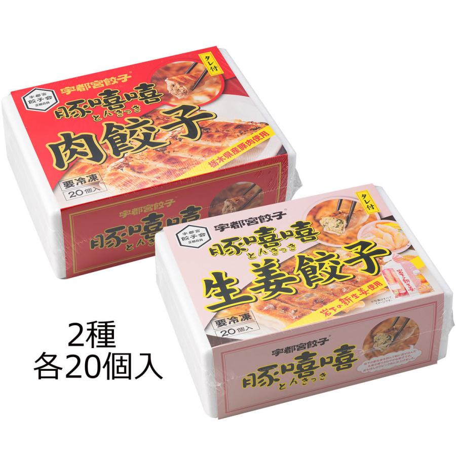 肉餃子・生姜餃子 20個入各1箱 2種詰合せ 餃子 惣菜 生姜 ぎょうざ 栃木 宇都宮餃子とんきっき