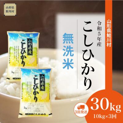 ふるさと納税 鮭川村 令和5年産コシヒカリ30kg定期便(10kg×3回)