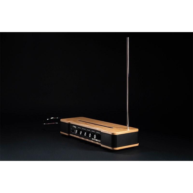 moog Etherwave Theremin 純正ケースセット