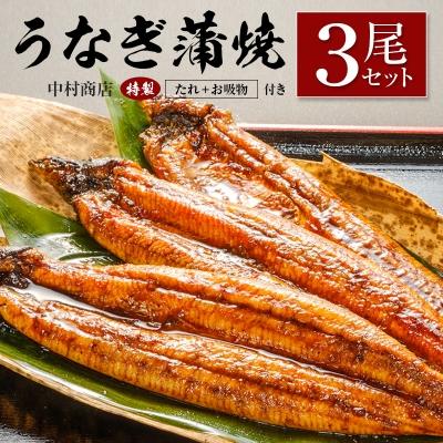 ふるさと納税 宮崎県 ◆中村商店　うなぎ蒲焼3尾セット