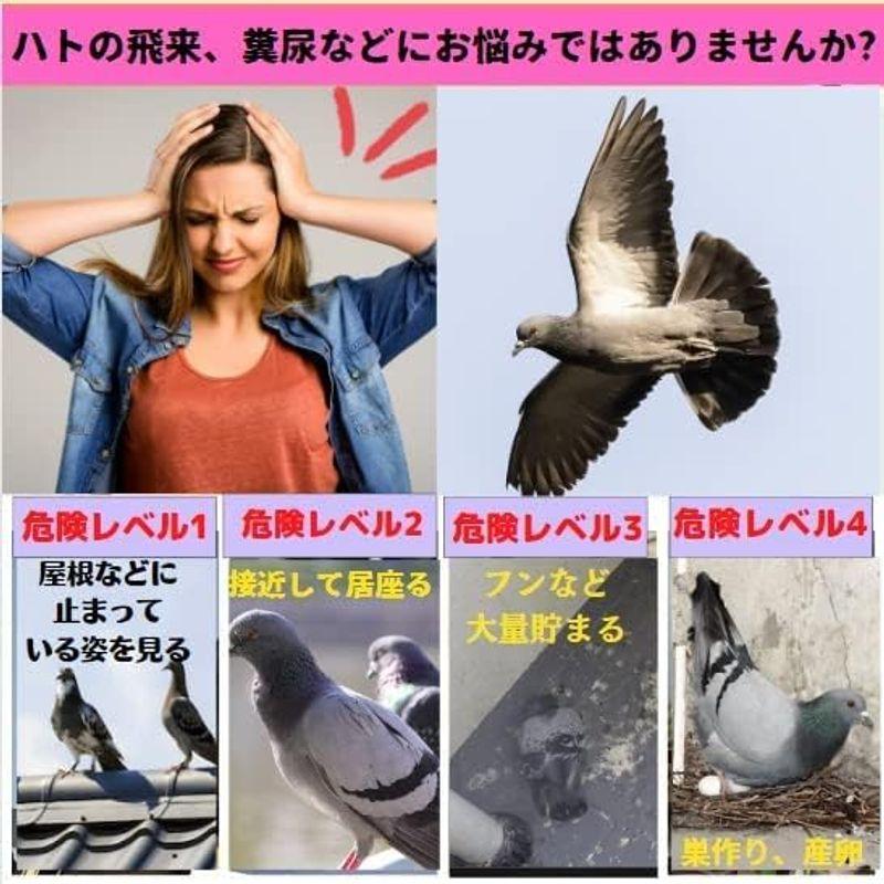 はとよけグッズ ベランダ 3D はとにげーる 鳩の撃退法 鳩よけグッズ 鳩にげーる 鳥よけグッズ フン害 鳥獣害対策