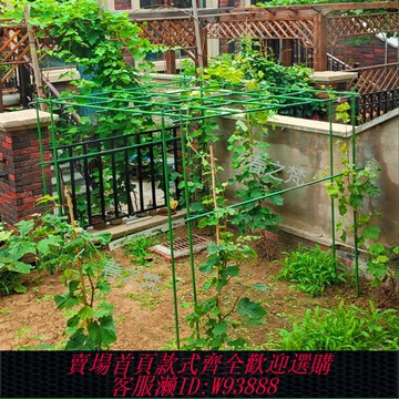 【3萬人收藏】爬藤植物支撐架園藝花架花園陽臺爬架黃瓜伸縮庭院鋼管大型葡萄架