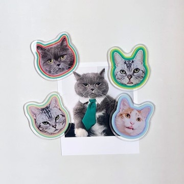 買2贈1 照片定製冰箱貼 壓克力磁貼 寵物人像插畫周邊定製