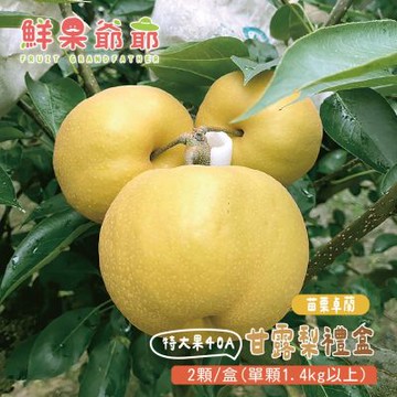 鮮果爺爺 苗栗卓蘭特大果40A甘露梨禮盒x1盒(2顆/盒_單顆1.4kg以上)