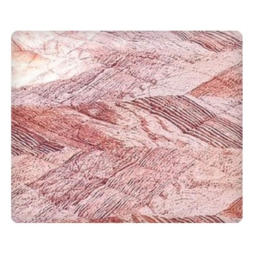 Wild Peak 野峰 地墊 100% 滌綸  300 x 250cm  栗子魚骨