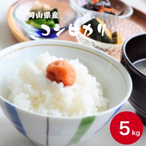 新米 米 5kg こめ お米 こしひかり 送料無料 お試し 令和5年産 岡山県産コシヒカリ5kg(5kg×1袋)