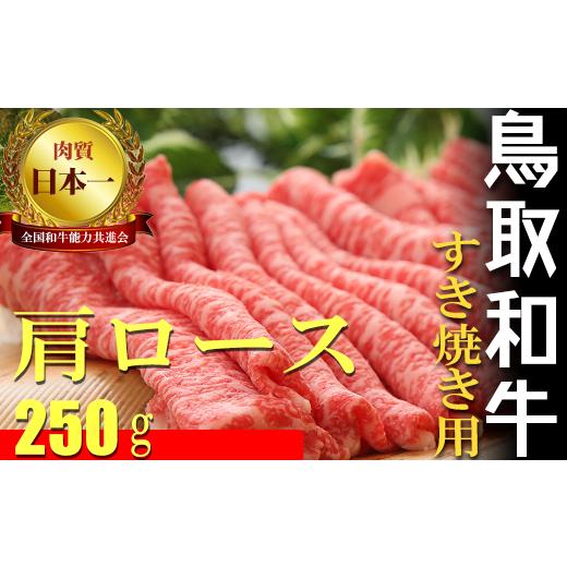 ふるさと納税 鳥取県 倉吉市 鳥取和牛　すき焼き用　Ｂ 国産 牛肉 すき焼き ロース 肩ロース