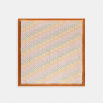 經典 SIGNATURE 彩虹色印花桑蠶絲方形圍巾