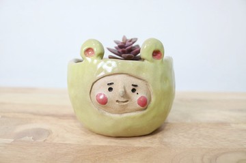 阿囡小熊盆栽