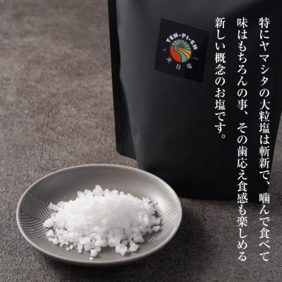 ふるさと納税 淡路市 淡路島海塩 TEN-PI-EN 大粒1kg(500g×2袋)