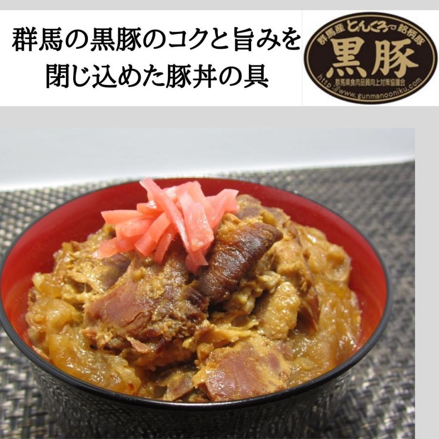 10％OFFクーポン配布中 惣菜4種セット 20食 牛丼 豚丼 カレー 地鶏炭火焼 送料無料