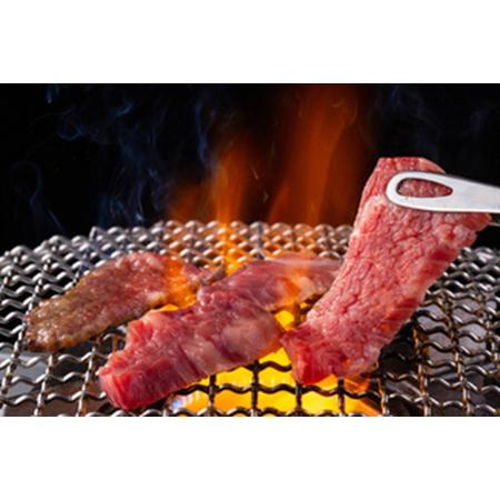 ふるさと納税 焼肉 盛り合わせセット国産牛特撰カルビ 600g  熟成牛塩タン味付 200g  漬け込み牛ホルモン 200g 計1kg 自家製タレ付き .. 京都府亀岡市