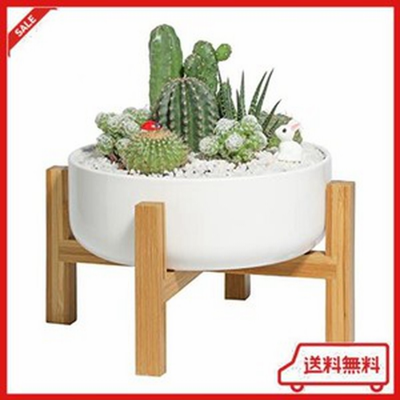 T4u 植木鉢 多肉植物鉢 陶器 大きい 寄せ植え鉢 5号鉢 サボテン鉢 竹製スタンド付き 浅型 プランター 底穴付き ガーデニング 室内 インテ 通販 Lineポイント最大6 0 Get Lineショッピング