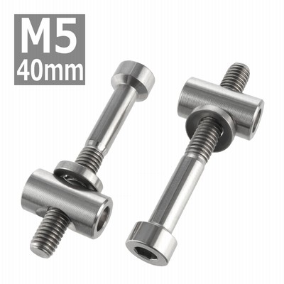 64チタンボルト M5×40mm トムソン シートポスト用 固定ボルト 互換品 シルバーカラー 素地 2個セット JA476