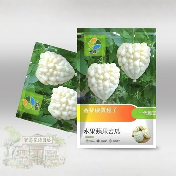【可開收據】原廠大包裝 蘋果苦瓜種子（約5粒）涼瓜種子 可以生吃的水果苦瓜 稀有特色蔬菜種子/原裝包對版
