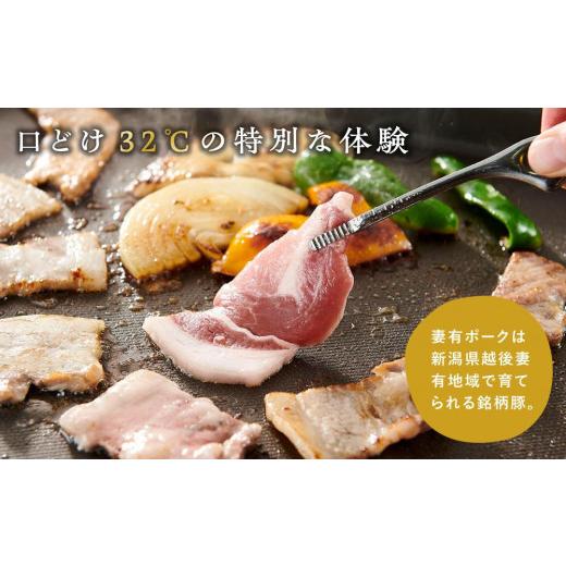 ふるさと納税 新潟県 十日町市 妻有ポーク焼き肉3種セット