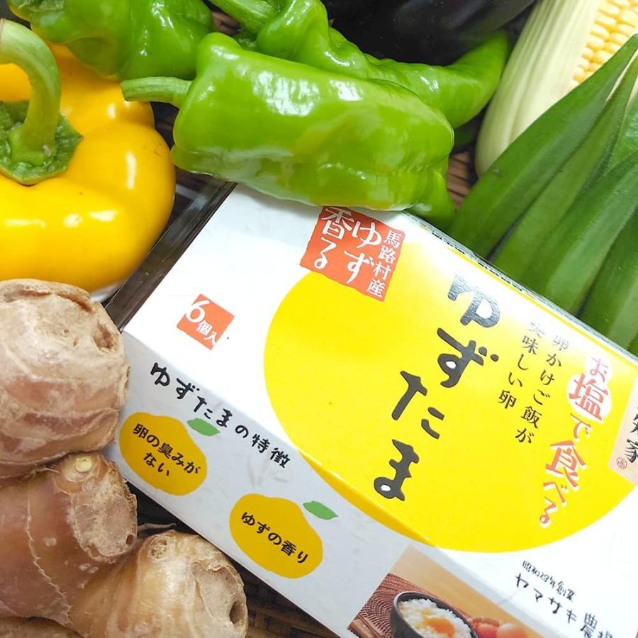 高知県産限定 農家直送 産直野菜たっぷり10品目以上＋たまご「ゆずたま」セット 採れたて 旬の新鮮お野菜 おまかせ詰め合わせ