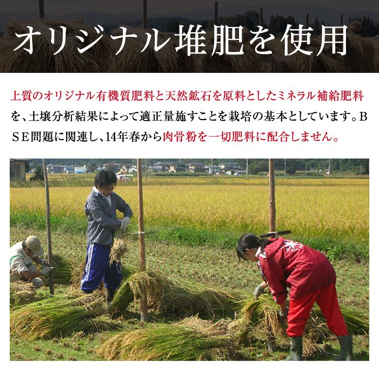 米 新米 コシヒカリ 10kg 農薬不使用 山形県産 お米 生きた玄米 紅の華 令和5年産 特A米 特別栽培米 上和田米