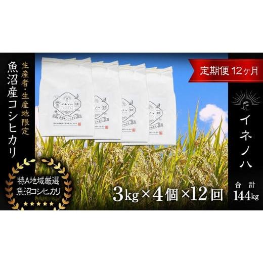 ふるさと納税 新潟県 十日町市 ＜定期便・全12回＞魚沼産コシヒカリ「イネノハ 」精米(3kg×4)×12回